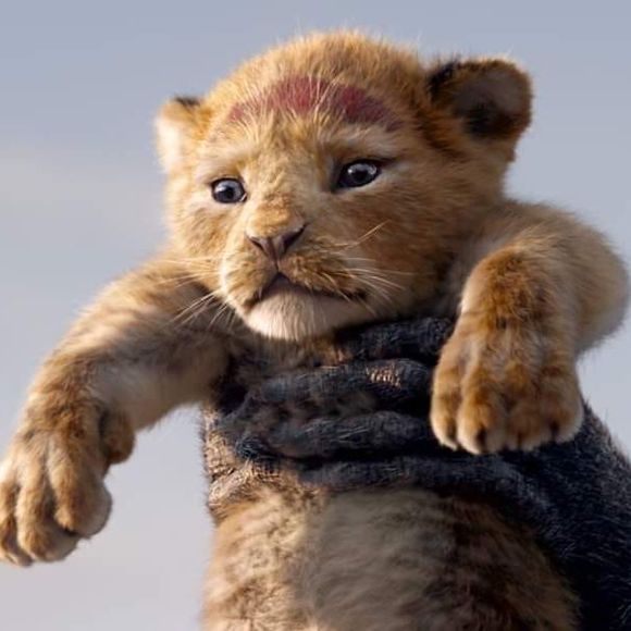 Meet your Posher, Belinda - Picture 1 of 1